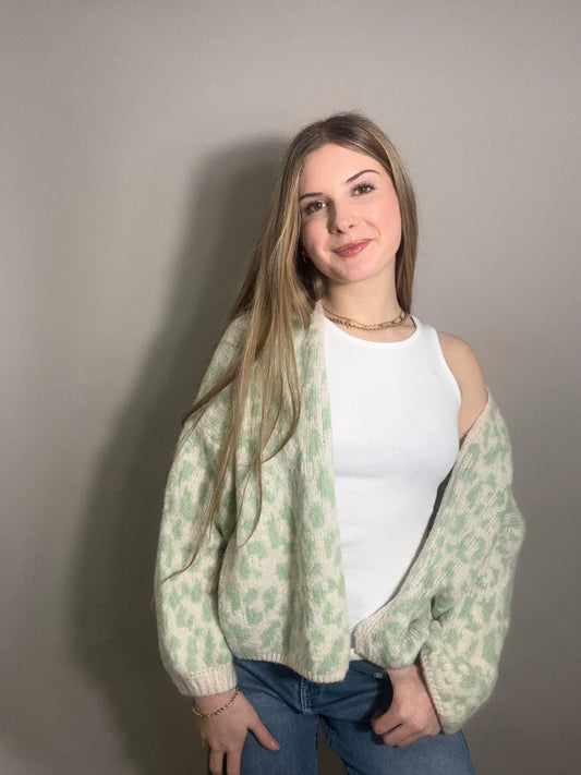 Cardigan - Leo in Mintgrün